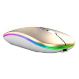 2.4G Wireless Ergonomic Gaming Mouse (LED lighting, Rechargeable & Bluetooth) - Ripe Pickings