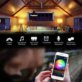 Wireless LED Lights (Control options: IR Remote Control, Phone WIFI) - Ripe Pickings