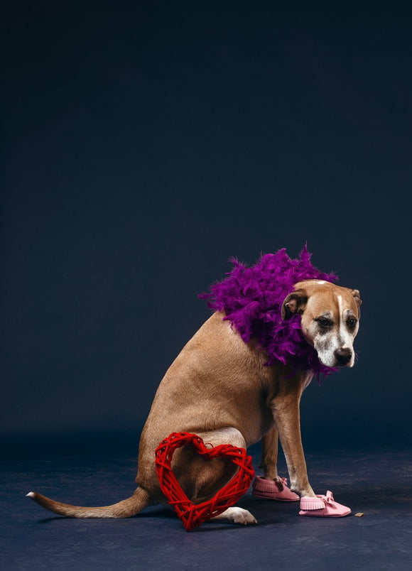 Fashion & Accessories - Ripe Pickings