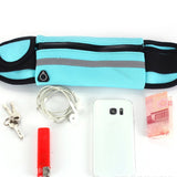 2019 Sport and Casual, Waterproof Anti - theft 6 Inch Pocket Should or Waist Bag - Ripe Pickings