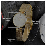 2021 Curren Blanche Luxury Quartz Ladies Watch (9038 - GD) - Ripe Pickings