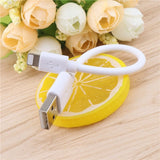 Short Fast Charging Data Cable for all Phone Brands - Ripe Pickings